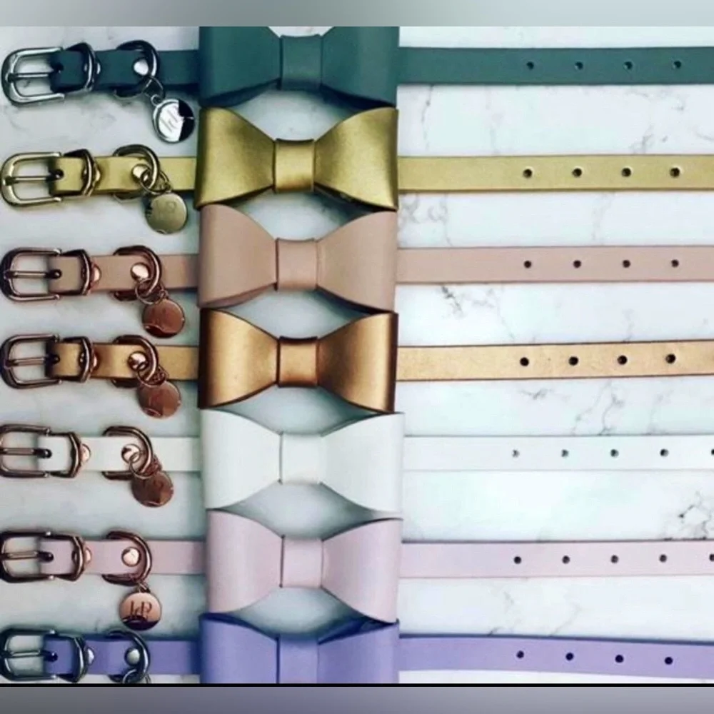 Gold Leather Dog Collar | Gold Hardware and Removable Bow | Small - Picture 14 of 15